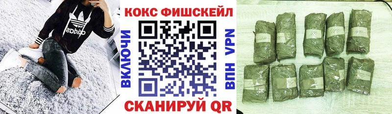 COCAIN Эквадор  Харовск 