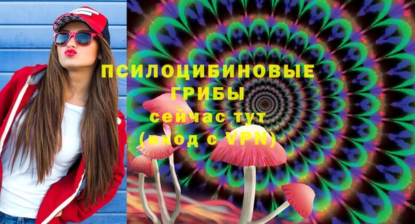 амф Алексеевка