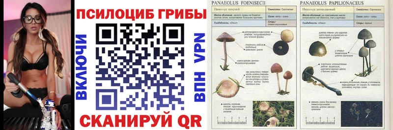 где найти наркотики  мориарти наркотические препараты  Галлюциногенные грибы MAGIC MUSHROOMS  Харовск 